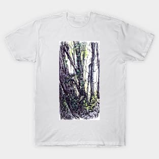 Gordon River, Tasmania T-Shirt